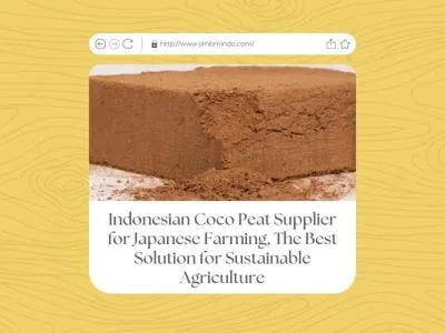 Indonesian Coco Peat Supplier for Japanese Farming, The Best Solution for Sustainable Agriculture
