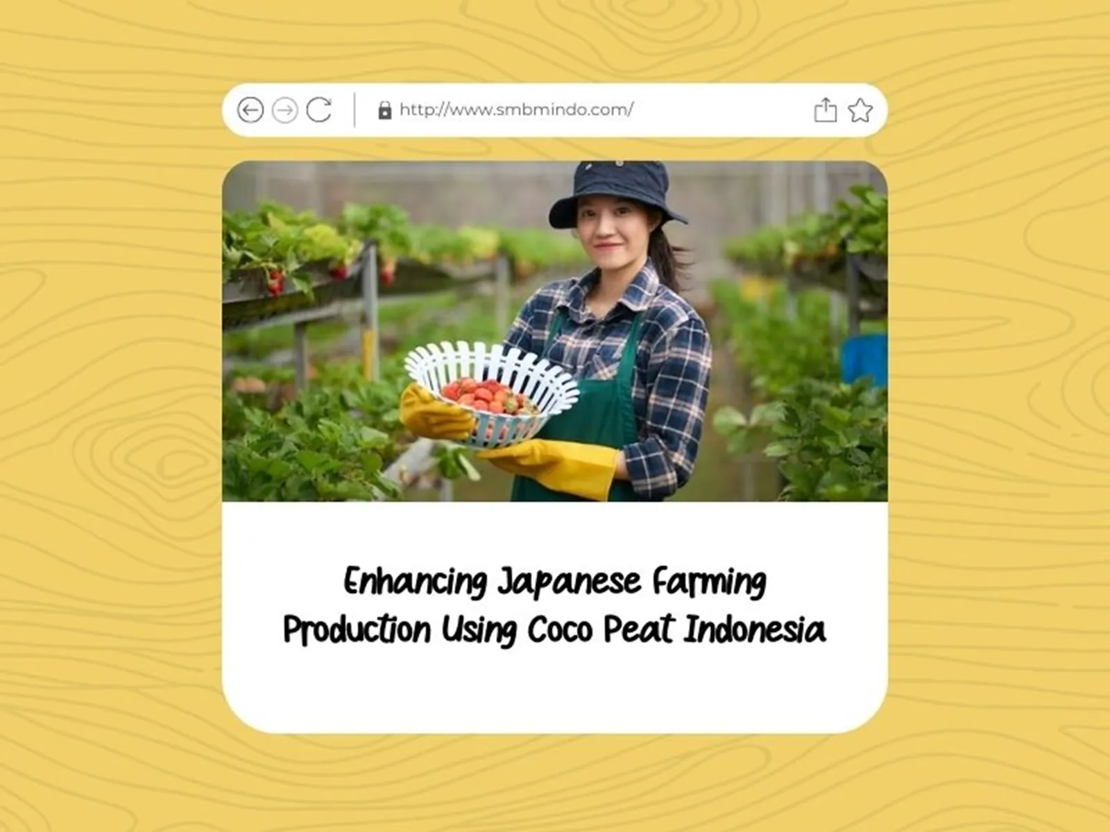 Enhancing Japanese Farming Production Using Coco Peat Indonesia