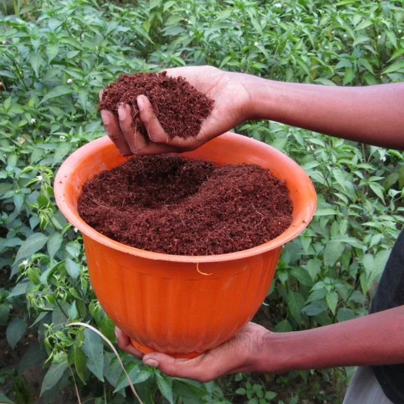 1. Rehydrate the Cocopeat