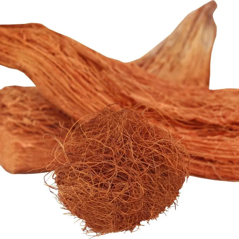 What is Coco Peat?